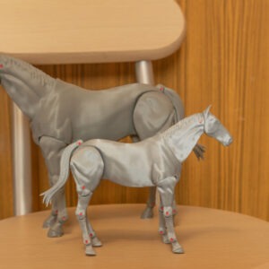 Horse-poseable figure STL Action Figure 3D Printing  Movable body Action Figure Toy Model Draw  STL for 3D Printing